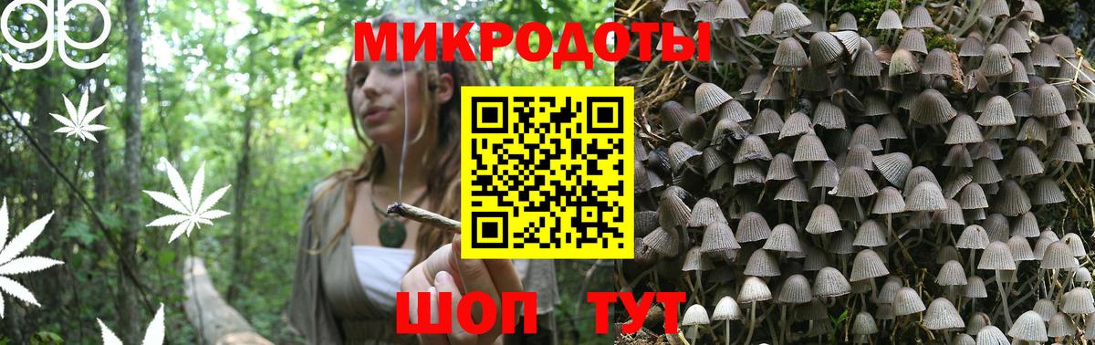 Галлюциногенные грибы мицелий Шадринск