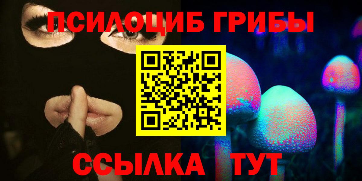 Галлюциногенные грибы Psilocybe  Вход с VPN  Шадринск 